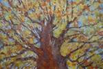 Podzimní koruna stromu /2021/ Crown of the Tree in the Autumn ( obraz na přání )